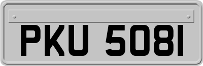 PKU5081