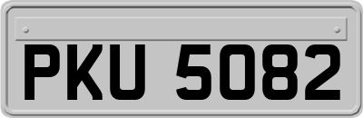 PKU5082