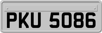 PKU5086