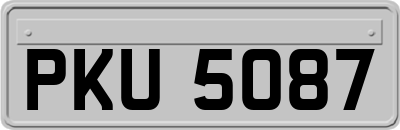 PKU5087