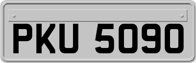 PKU5090