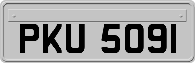 PKU5091