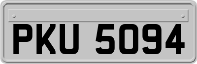 PKU5094
