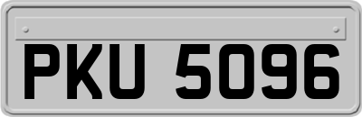 PKU5096