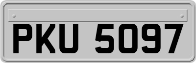 PKU5097