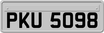 PKU5098