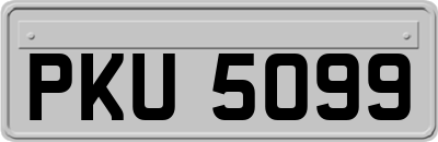 PKU5099