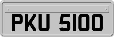 PKU5100