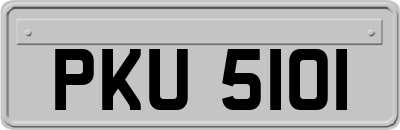 PKU5101