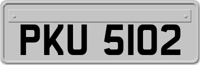 PKU5102