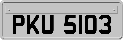 PKU5103