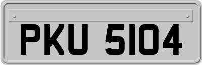 PKU5104