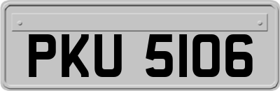 PKU5106