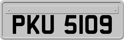 PKU5109
