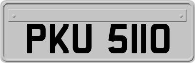 PKU5110