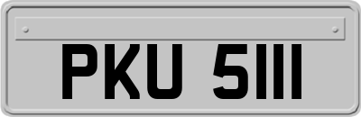 PKU5111