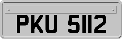 PKU5112