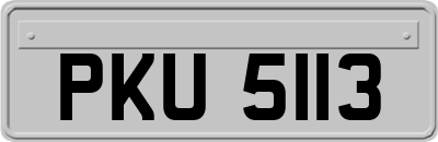 PKU5113
