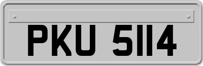 PKU5114
