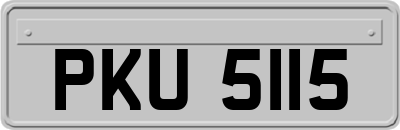 PKU5115