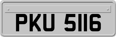 PKU5116