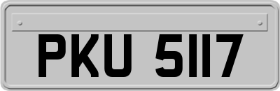 PKU5117