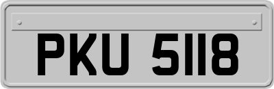 PKU5118