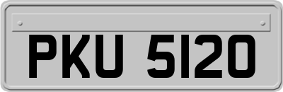 PKU5120