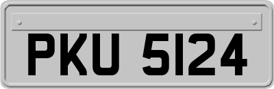 PKU5124