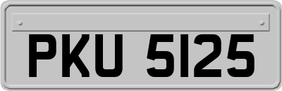 PKU5125