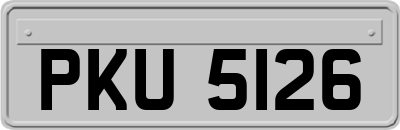 PKU5126
