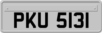 PKU5131
