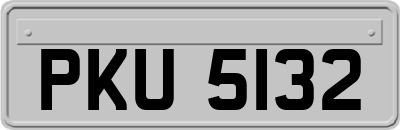 PKU5132