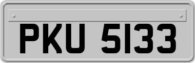 PKU5133