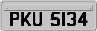 PKU5134