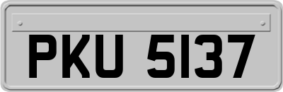 PKU5137