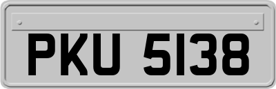 PKU5138