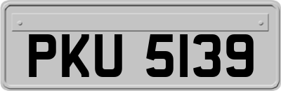 PKU5139