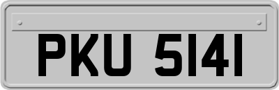 PKU5141