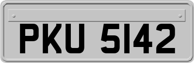 PKU5142