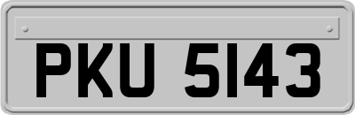 PKU5143