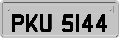 PKU5144