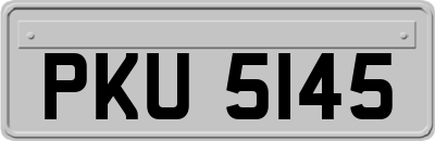 PKU5145