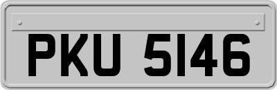 PKU5146