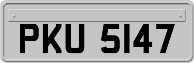 PKU5147