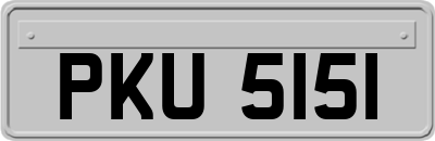 PKU5151