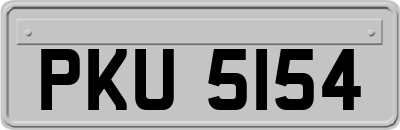 PKU5154