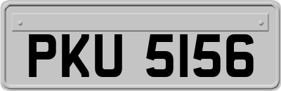 PKU5156