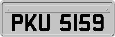 PKU5159