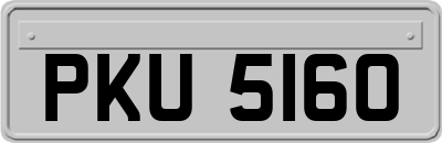 PKU5160